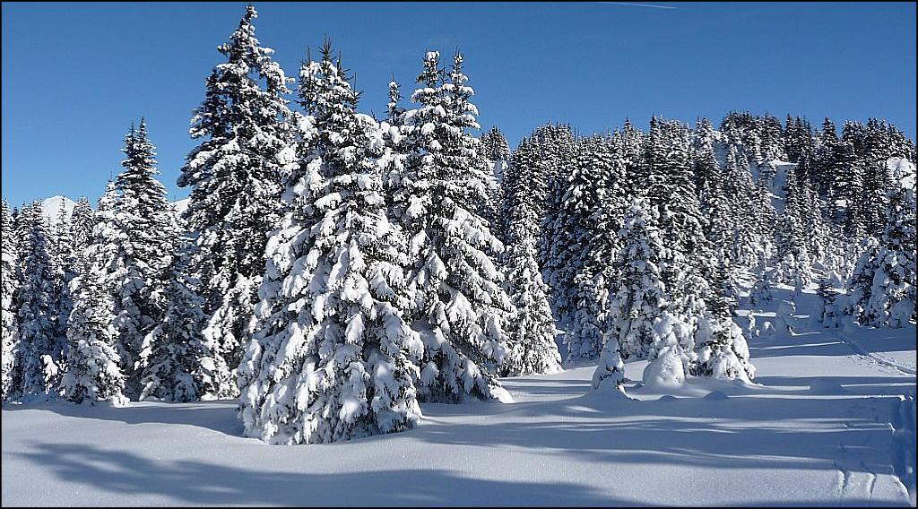 Hotel Alpenfriede คูรอน วินอสตา ภายนอก รูปภาพ