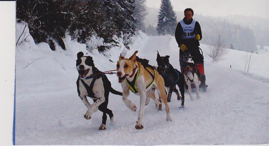 Hotel Alpenfriede คูรอน วินอสตา ภายนอก รูปภาพ